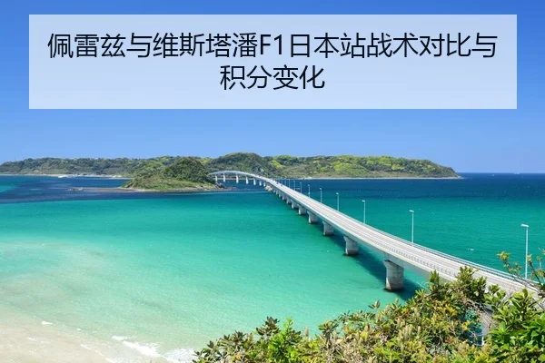 佩雷兹与维斯塔潘F1日本站战术对比与积分变化 | shaba
