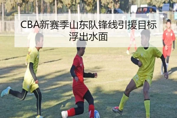 CBA新赛季山东队锋线引援目标浮出水面 | shaba